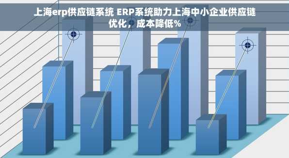 上海erp供应链系统 ERP系统助力上海中小企业供应链优化，成本降低%