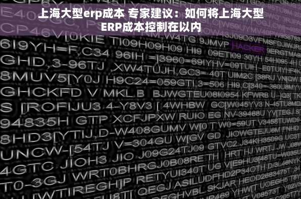 上海大型erp成本 专家建议：如何将上海大型ERP成本控制在以内