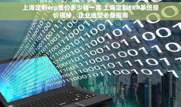 上海定制erp售价多少钱一套 上海定制ERP系统报价揭秘，企业选型必备指南