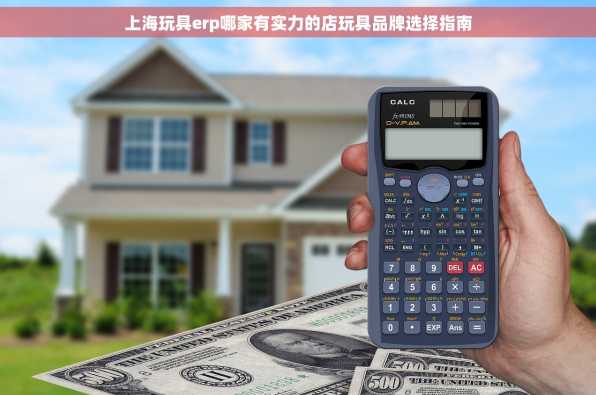 上海玩具erp哪家有实力的店玩具品牌选择指南
