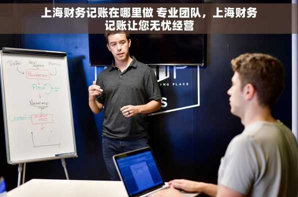 上海财务记账在哪里做 专业团队，上海财务记账让您无忧经营