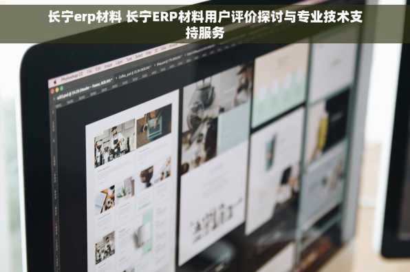 长宁erp材料 长宁ERP材料用户评价探讨与专业技术支持服务