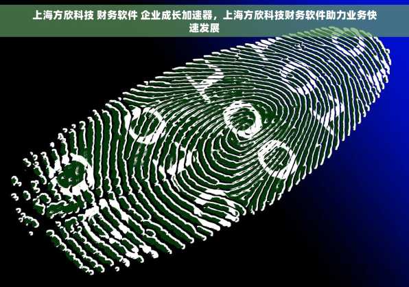上海方欣科技 财务软件 企业成长加速器，上海方欣科技财务软件助力业务快速发展