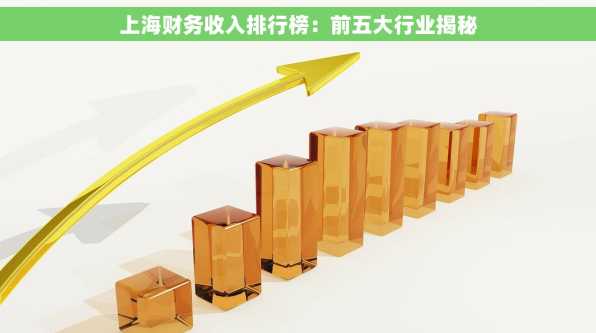 上海财务收入排行榜：前五大行业揭秘