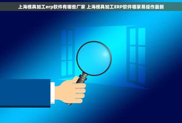 上海模具加工erp软件有哪些厂家 上海模具加工ERP软件哪家易操作最新