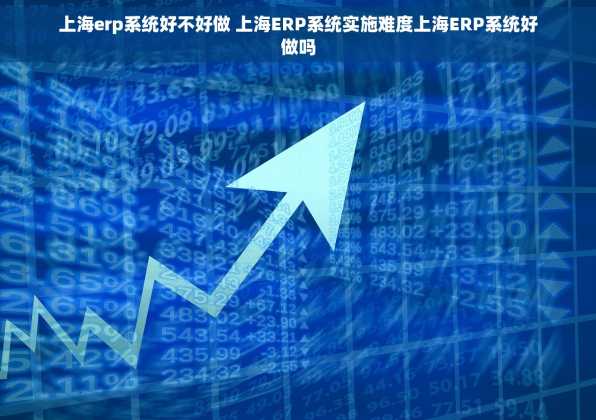 上海erp系统好不好做 上海ERP系统实施难度上海ERP系统好做吗