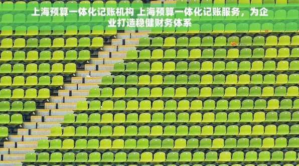 上海预算一体化记账机构 上海预算一体化记账服务，为企业打造稳健财务体系