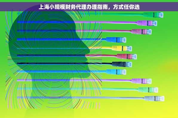 上海小规模财务代理办理指南，方式任你选