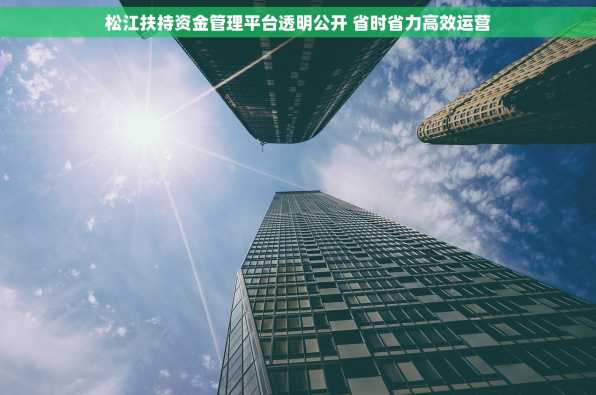 松江扶持资金管理平台透明公开 省时省力高效运营