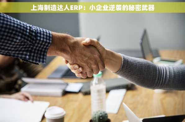 上海制造达人ERP：小企业逆袭的秘密武器