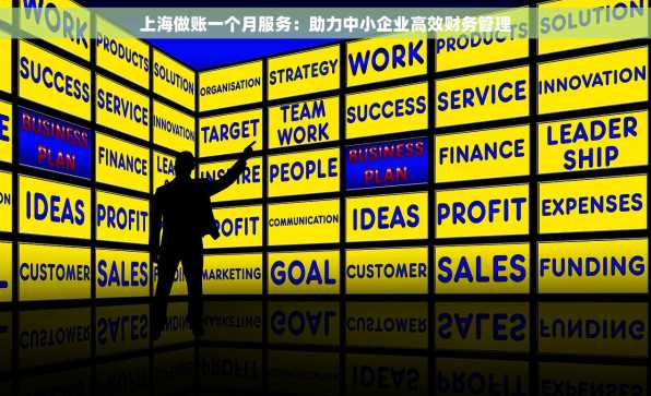 上海做账一个月服务：助力中小企业高效财务管理