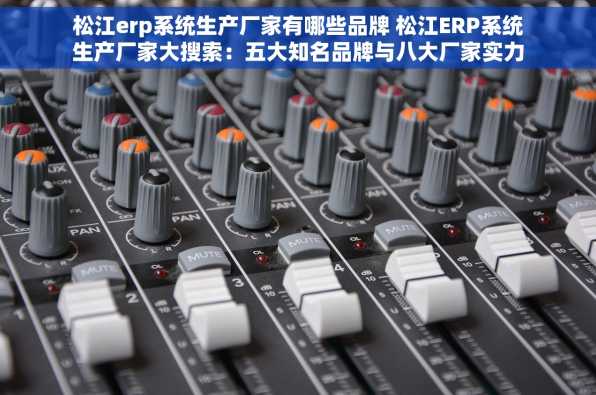 松江erp系统生产厂家有哪些品牌 松江ERP系统生产厂家大搜索：五大知名品牌与八大厂家实力对比揭秘