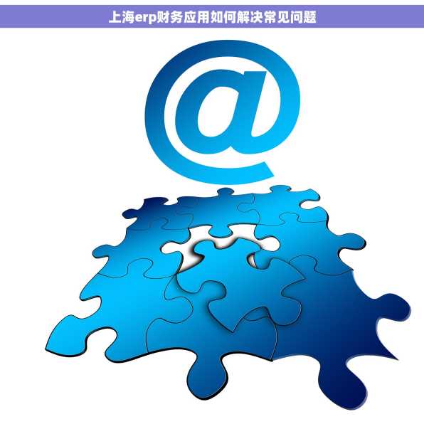 上海erp财务应用如何解决常见问题