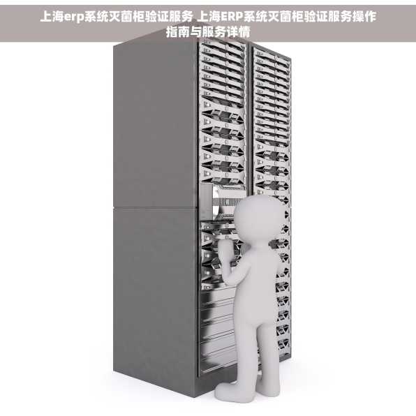 上海erp系统灭菌柜验证服务 上海ERP系统灭菌柜验证服务操作指南与服务详情