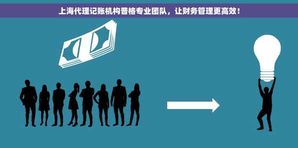 上海代理记账机构普格专业团队，让财务管理更高效！