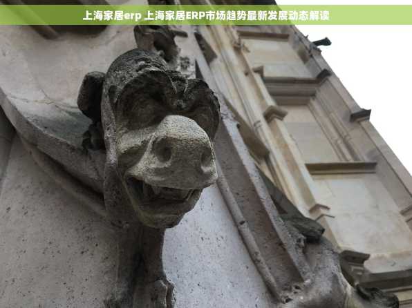 上海家居erp 上海家居ERP市场趋势最新发展动态解读