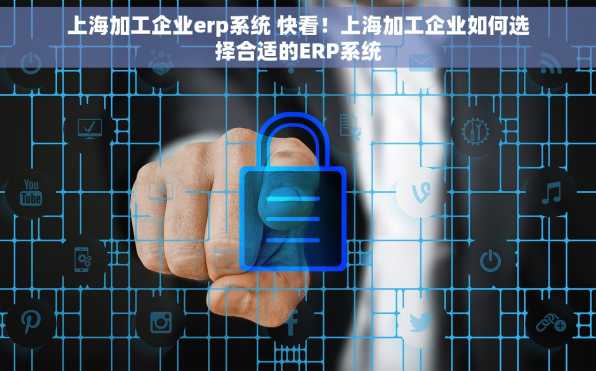 上海加工企业erp系统 快看！上海加工企业如何选择合适的ERP系统