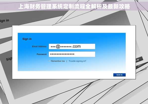 上海财务管理系统定制流程全解析及最新攻略