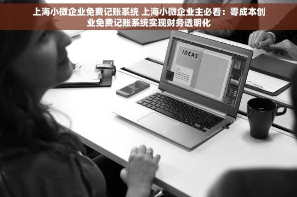 上海小微企业免费记账系统 上海小微企业主必看：零成本创业免费记账系统实现财务透明化