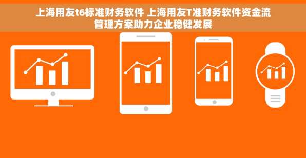 上海用友t6标准财务软件 上海用友T准财务软件资金流管理方案助力企业稳健发展