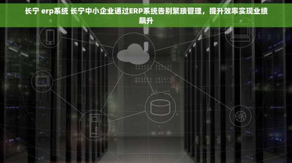 长宁 erp系统 长宁中小企业通过ERP系统告别繁琐管理，提升效率实现业绩飙升