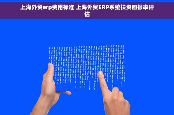 上海外贸erp费用标准 上海外贸ERP系统投资回报率评估