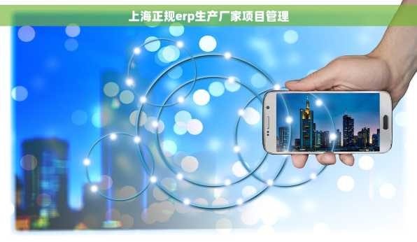 上海正规erp生产厂家项目管理