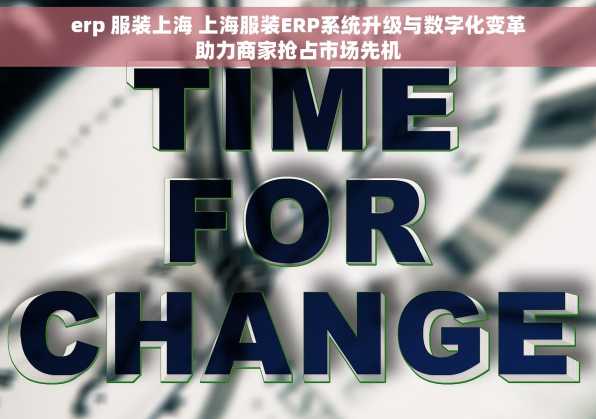 erp 服装上海 上海服装ERP系统升级与数字化变革助力商家抢占市场先机