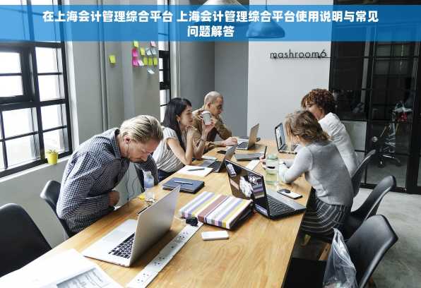 在上海会计管理综合平台 上海会计管理综合平台使用说明与常见问题解答