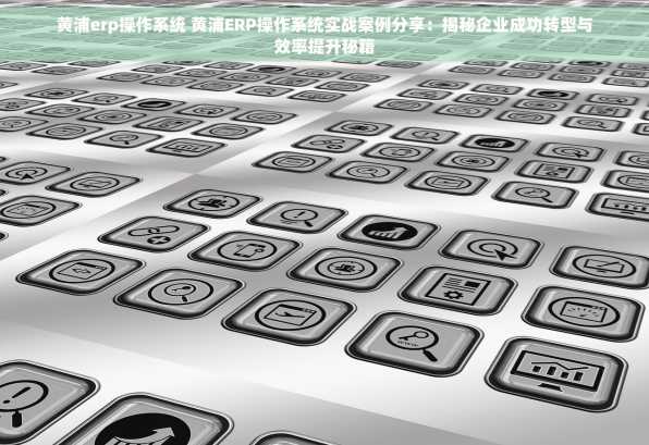黄浦erp操作系统 黄浦ERP操作系统实战案例分享：揭秘企业成功转型与效率提升秘籍