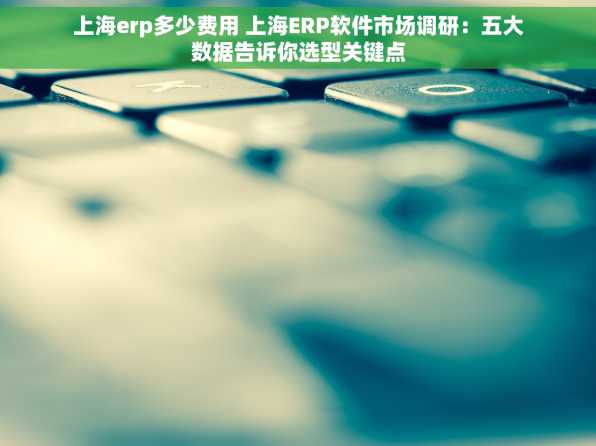 上海erp多少费用 上海ERP软件市场调研：五大数据告诉你选型关键点