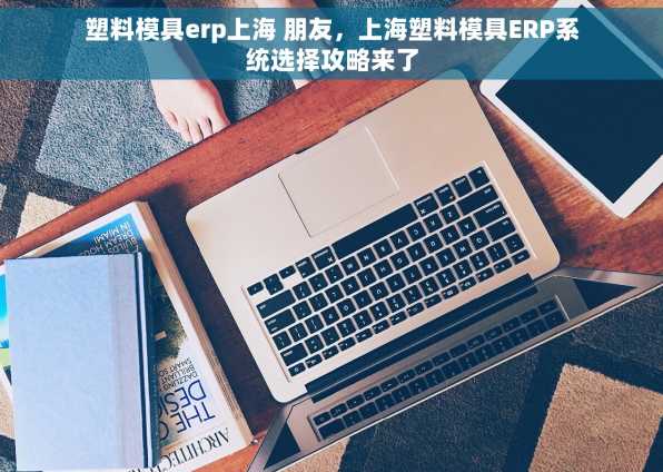 塑料模具erp上海 朋友，上海塑料模具ERP系统选择攻略来了