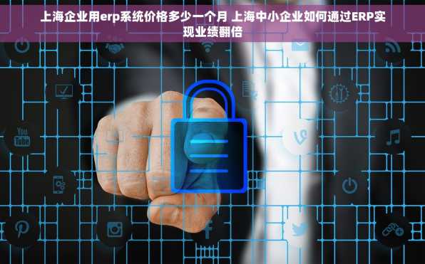 上海企业用erp系统价格多少一个月 上海中小企业如何通过ERP实现业绩翻倍
