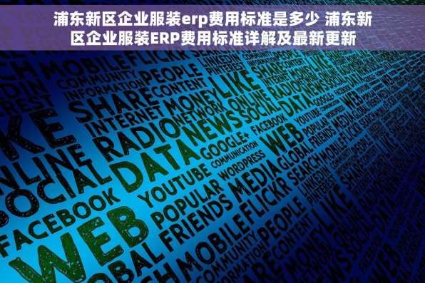 浦东新区企业服装erp费用标准是多少 浦东新区企业服装ERP费用标准详解及最新更新