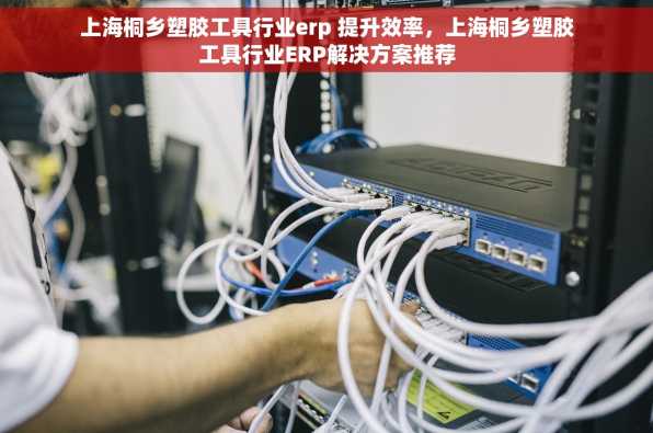 上海桐乡塑胶工具行业erp 提升效率，上海桐乡塑胶工具行业ERP解决方案推荐
