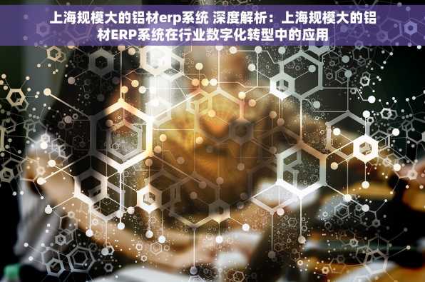 上海规模大的铝材erp系统 深度解析：上海规模大的铝材ERP系统在行业数字化转型中的应用