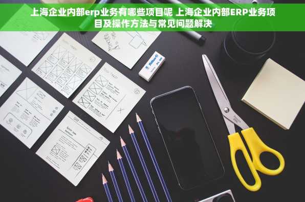 上海企业内部erp业务有哪些项目呢 上海企业内部ERP业务项目及操作方法与常见问题解决