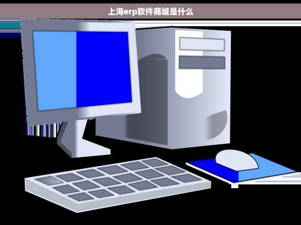 上海erp软件商城是什么