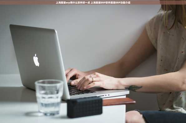 上海服装erp用什么软件好一点 上海服装ERP软件服装ERP功能介绍