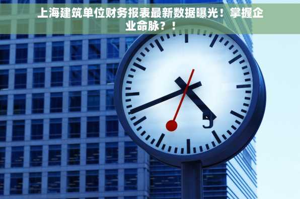 上海建筑单位财务报表最新数据曝光！掌握企业命脉？！