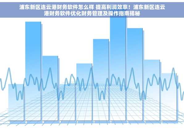 浦东新区连云港财务软件怎么样 提高利润效率！浦东新区连云港财务软件优化财务管理及操作指南揭秘