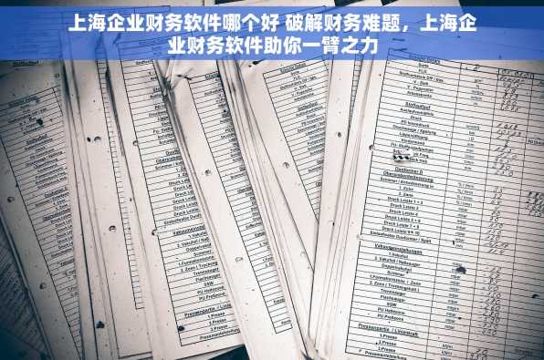 上海企业财务软件哪个好 破解财务难题，上海企业财务软件助你一臂之力