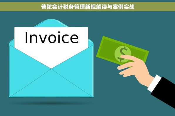 普陀会计税务管理新规解读与案例实战