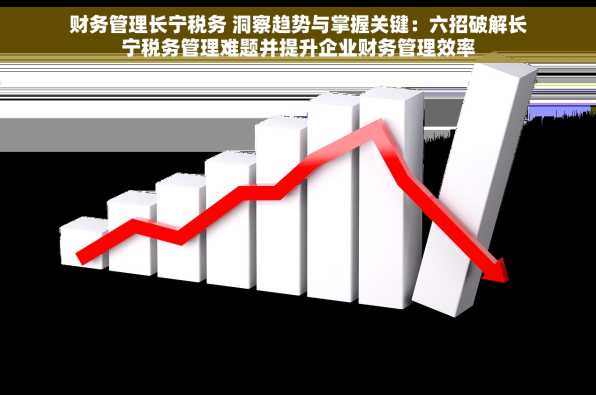 财务管理长宁税务 洞察趋势与掌握关键：六招破解长宁税务管理难题并提升企业财务管理效率
