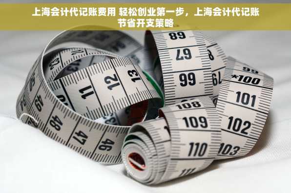 上海会计代记账费用 轻松创业第一步，上海会计代记账节省开支策略