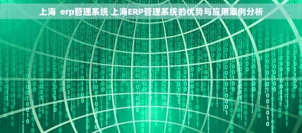 上海  erp管理系统 上海ERP管理系统的优势与应用案例分析