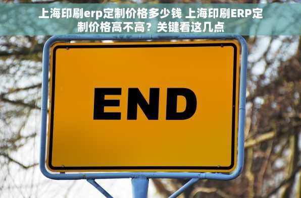 上海印刷erp定制价格多少钱 上海印刷ERP定制价格高不高？关键看这几点
