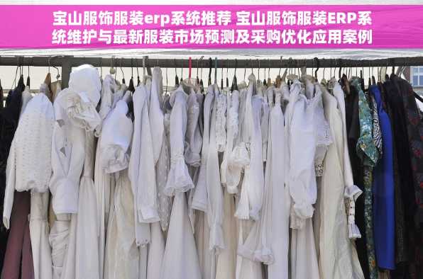 宝山服饰服装erp系统推荐 宝山服饰服装ERP系统维护与最新服装市场预测及采购优化应用案例