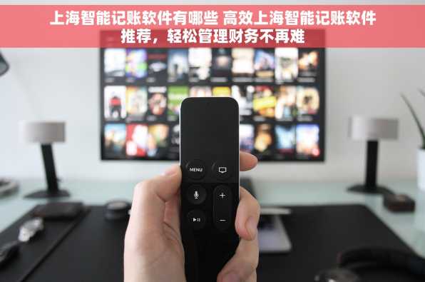上海智能记账软件有哪些 高效上海智能记账软件推荐，轻松管理财务不再难