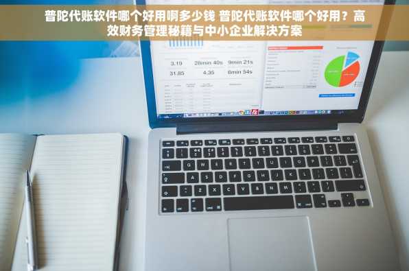 普陀代账软件哪个好用啊多少钱 普陀代账软件哪个好用？高效财务管理秘籍与中小企业解决方案